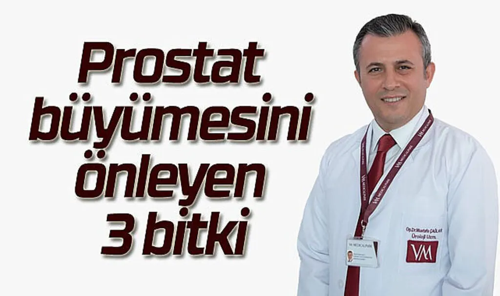 Prostat büyümesini önleyen 3 bitki