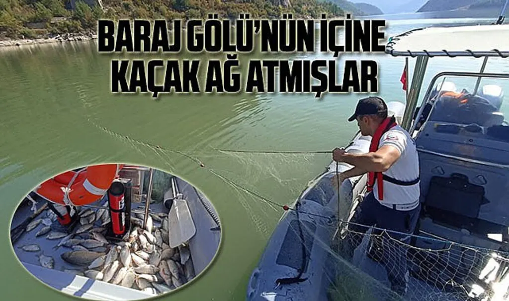 Altınkaya Baraj Gölü'nde sahipsiz ağ bulundu içindeki balıklar salındı!