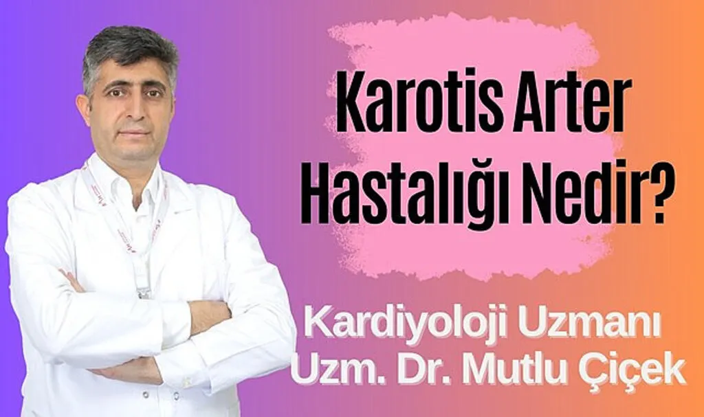 Karotis Arter Hastalığı Nedir? Uzm. Dr. Mutlu Çiçek
