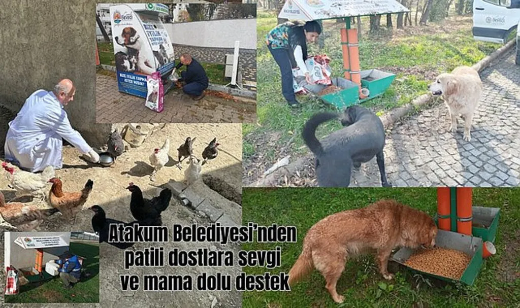 Atakum Belediyesi’nden patili dostlara sevgi ve mama dolu destek