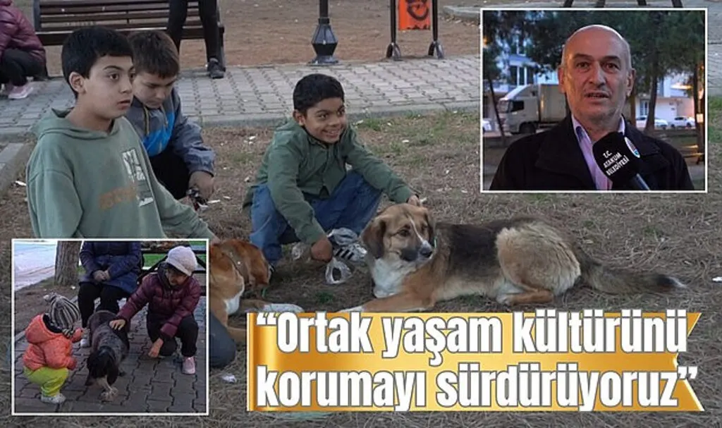Atakum Belediyesi'nden sokak canlıları için yoğun mesai