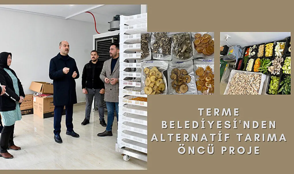 Terme Belediyesi'nden alternatif tarıma öncü proje