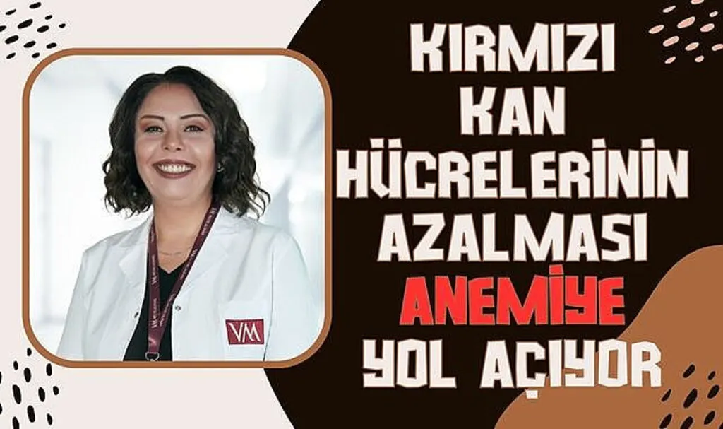 Kırmızı kan hücrelerinin azalması anemiye yol açıyor