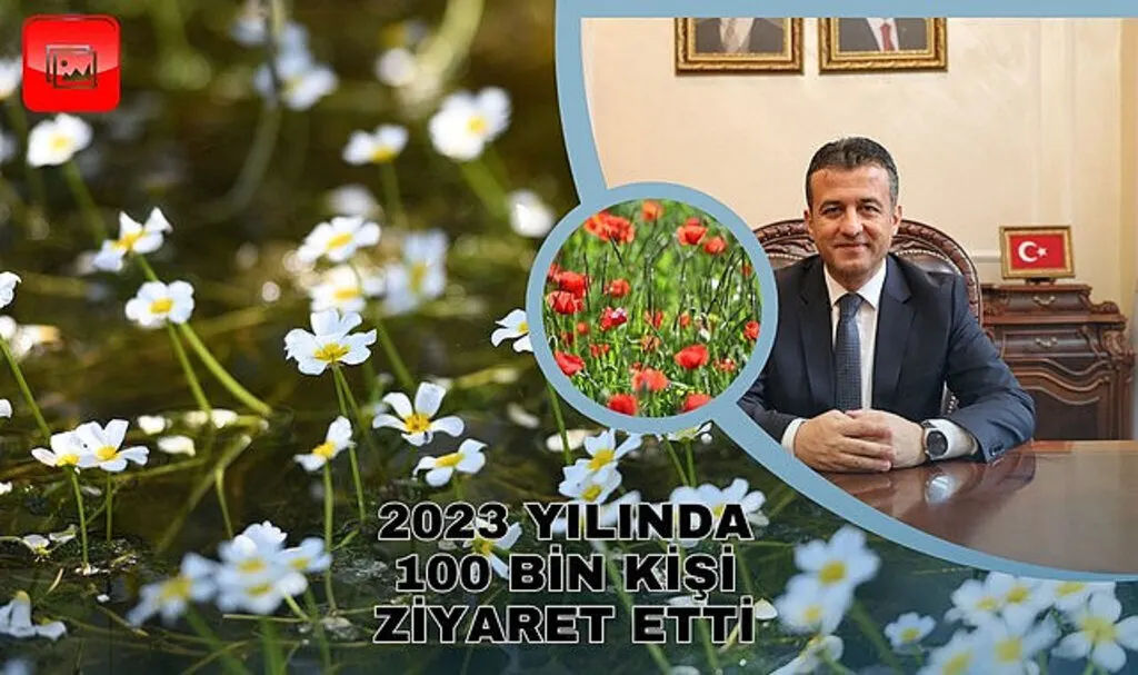 Kızılırmak Deltası’nda görsel şölen yaşanıyor (Foto Galeri)