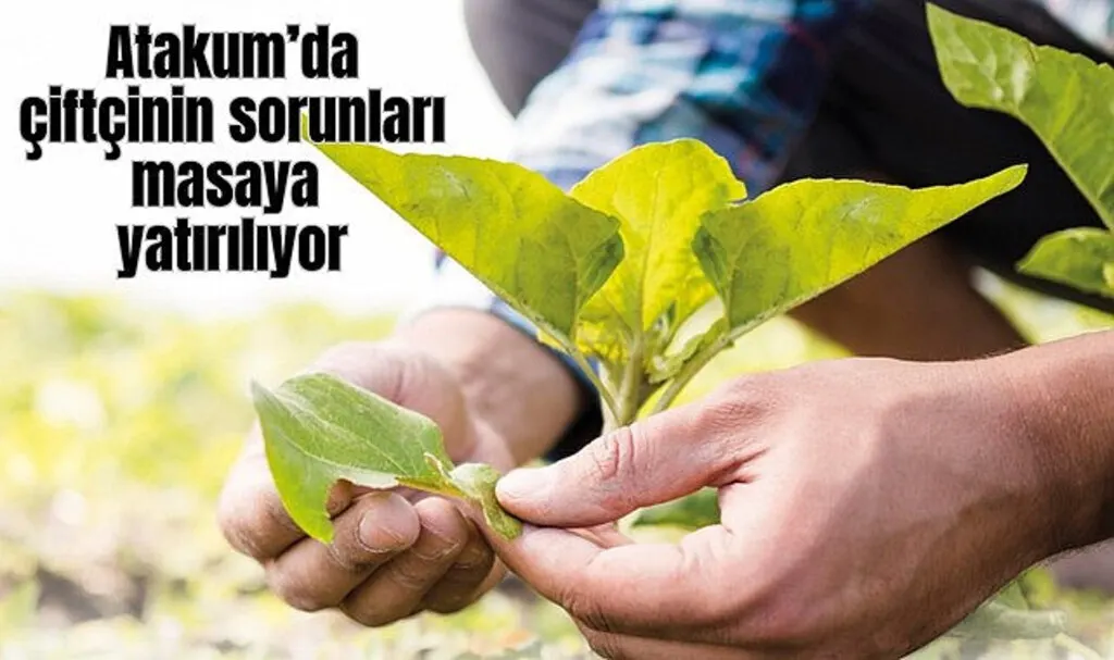 Atakum’da çiftçinin sorunları masaya yatırılıyor