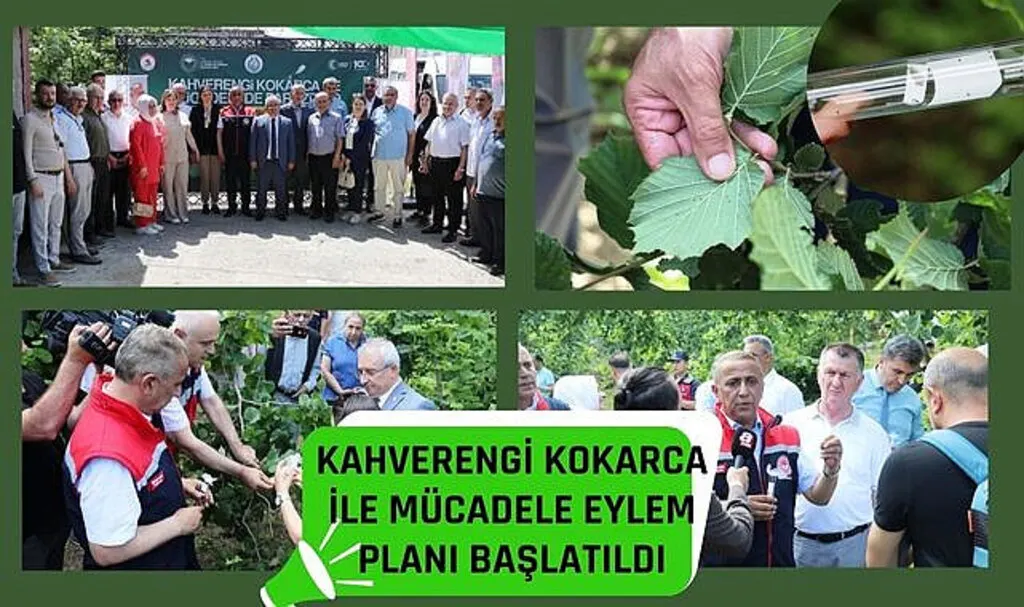 Kahverengi Kokarca ile Mücadele Eylemi Başlatıldı