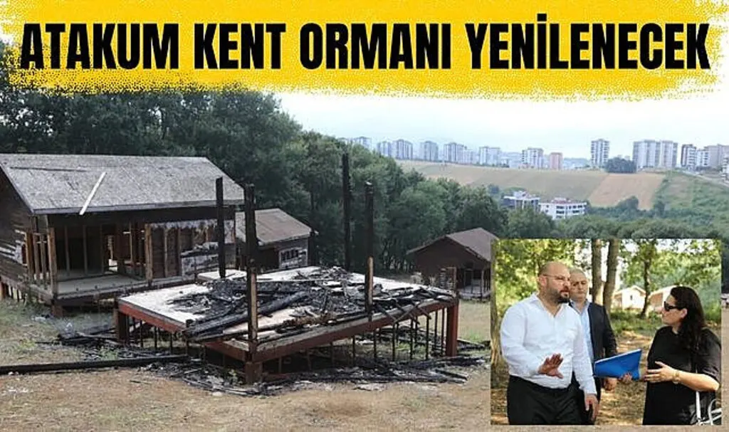 Atakum Kent Ormanı yenilenecek