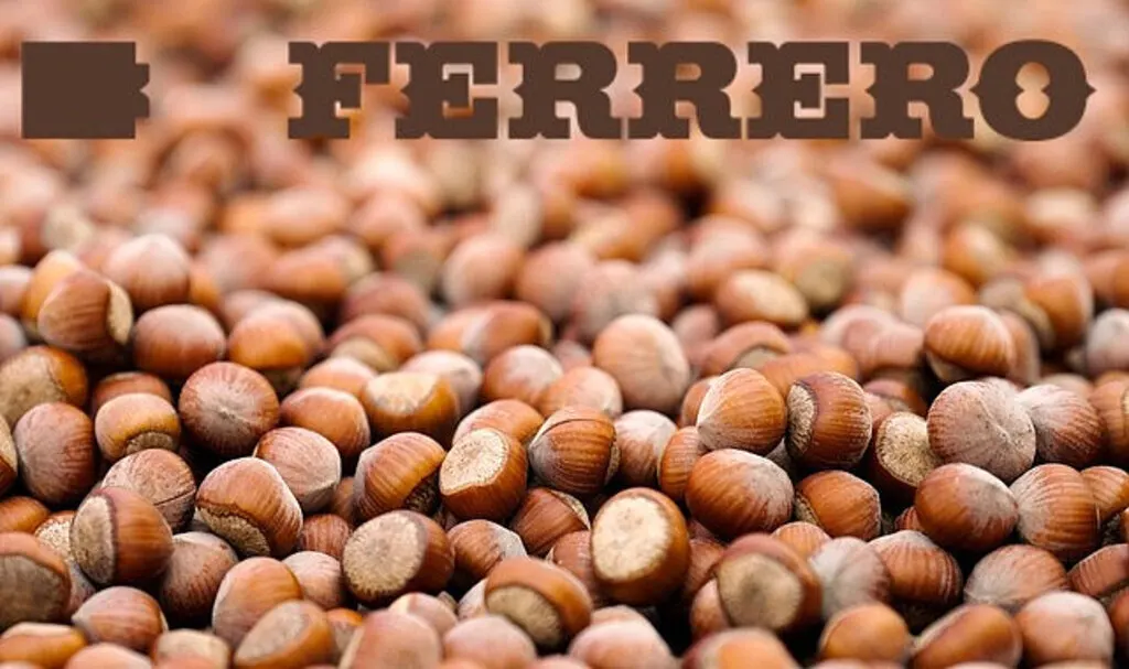 Ferrero yeni dönem hedeflerini açıkladı