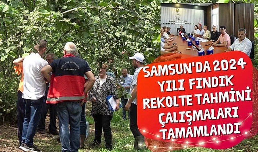 Fındık Rekolte Tahmini Çalışmaları Tamamlandı