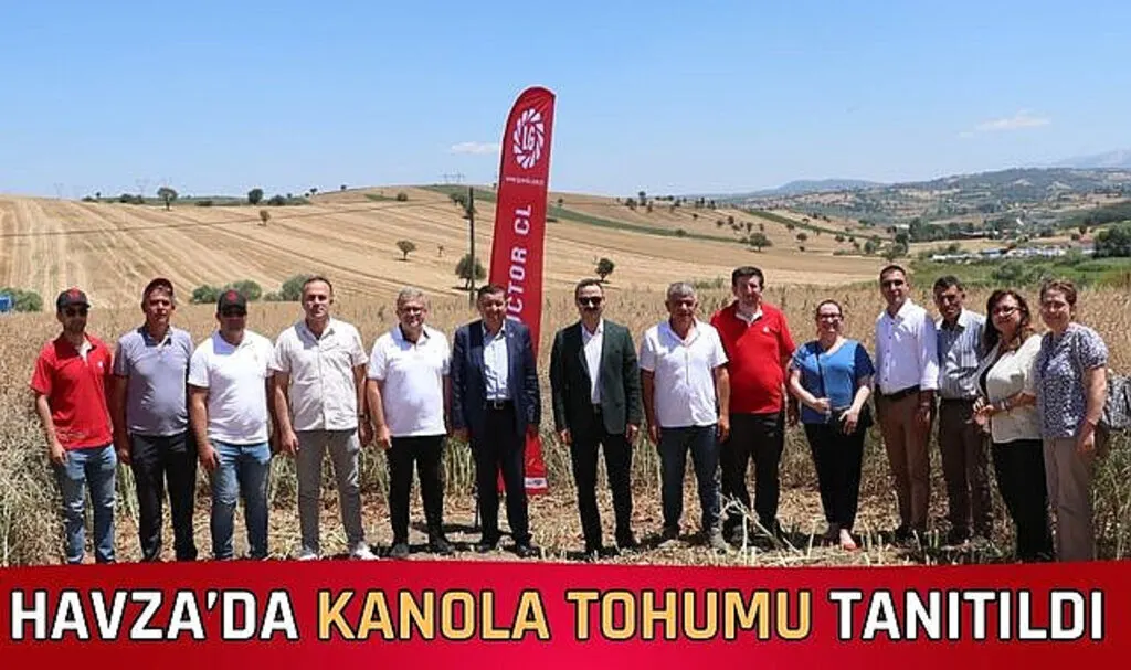 Havza’da kanola tohumu tanıtıldı