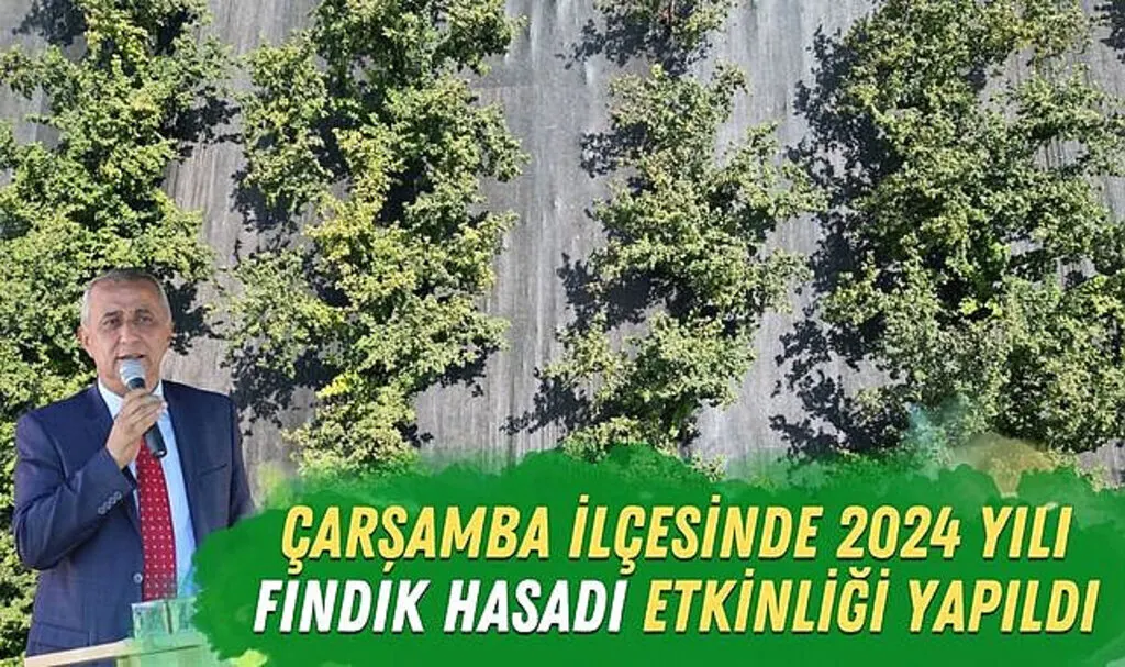Çarşamba İlçesi'nde Fındık Hasadı Etkinliği Yapıldı