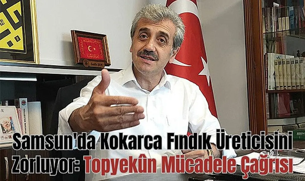 Samsun'da Kokarca Fındık Üreticisini Zorluyor: SP'den Topyekûn Mücadele Çağrısı