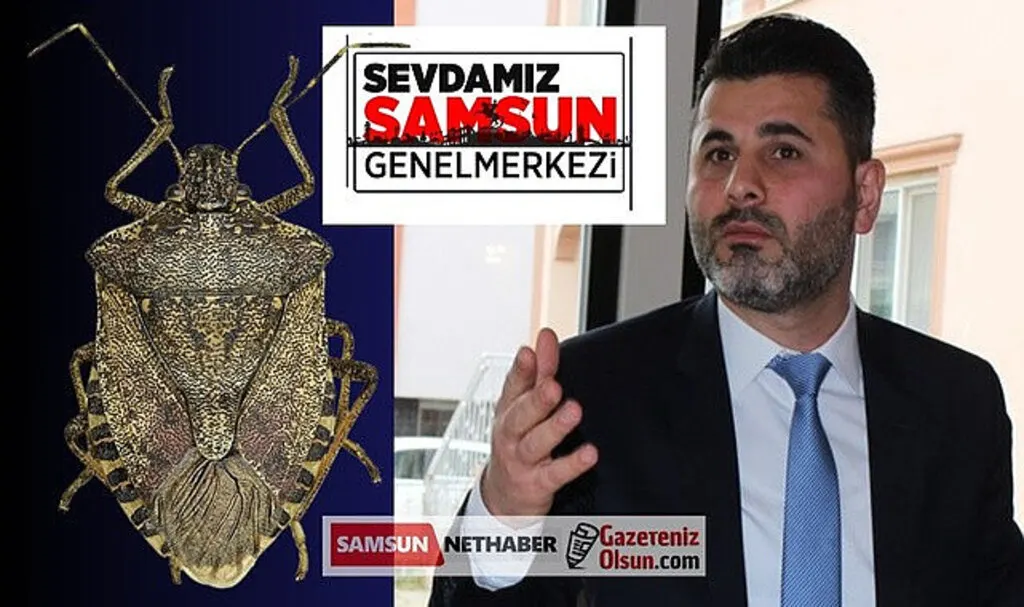 Sevdamız Samsun'dan Acil Çağrı: Kahverengi Kokarca Tehdidine Karşı Harekete Geçilmeli