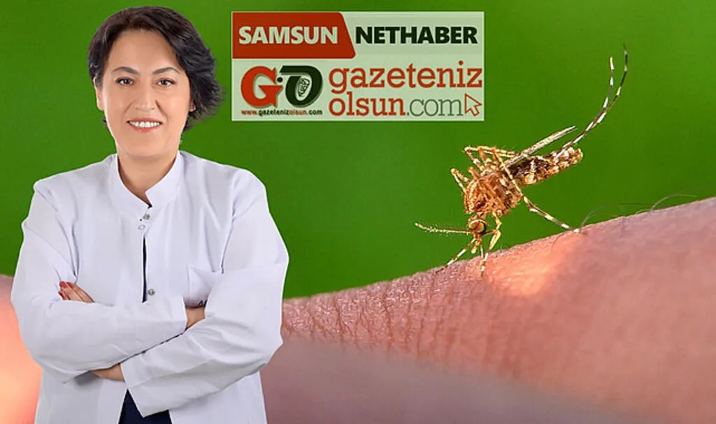 Aile Hekimliği Uzmanı Dr. Derya Işık ile ropörtaj: Batı nil virüsü yeni tehlike mi?
