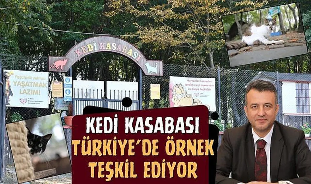 Kedi Kasabası Türkiye'de Örnek Teşkil Ediyor