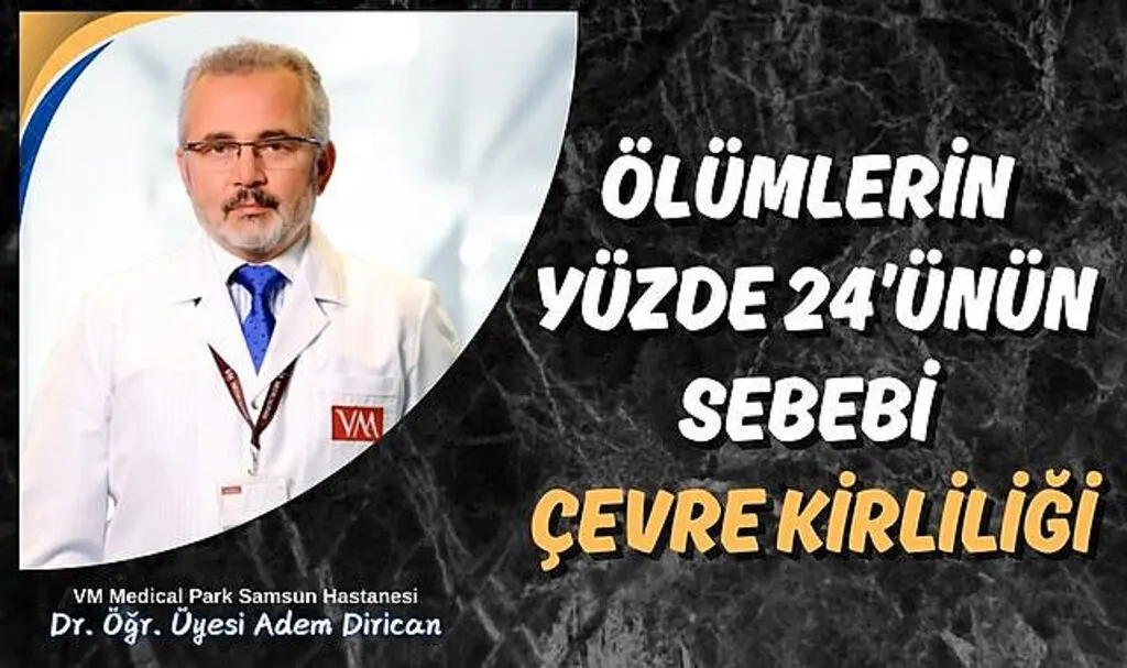Ölümlerin yüzde 24’ünün sebebi çevre kirliliği