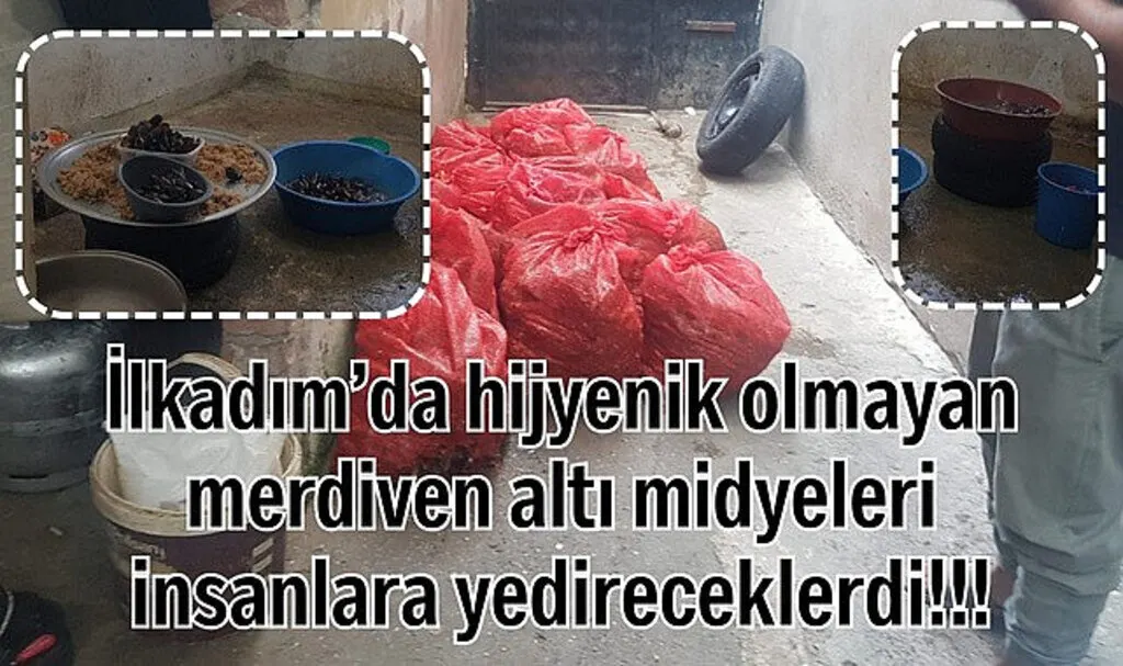 Samsun'da bu midye dolmaları insanlara yedireceklerdi!