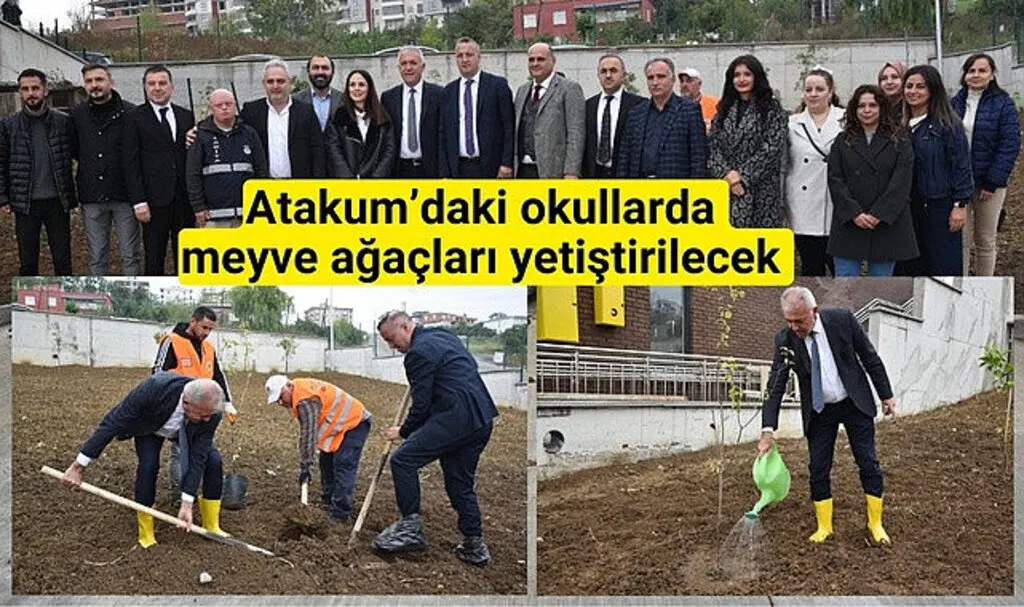 Atakum’daki okullarda meyve ağaçları yetiştirilecek 