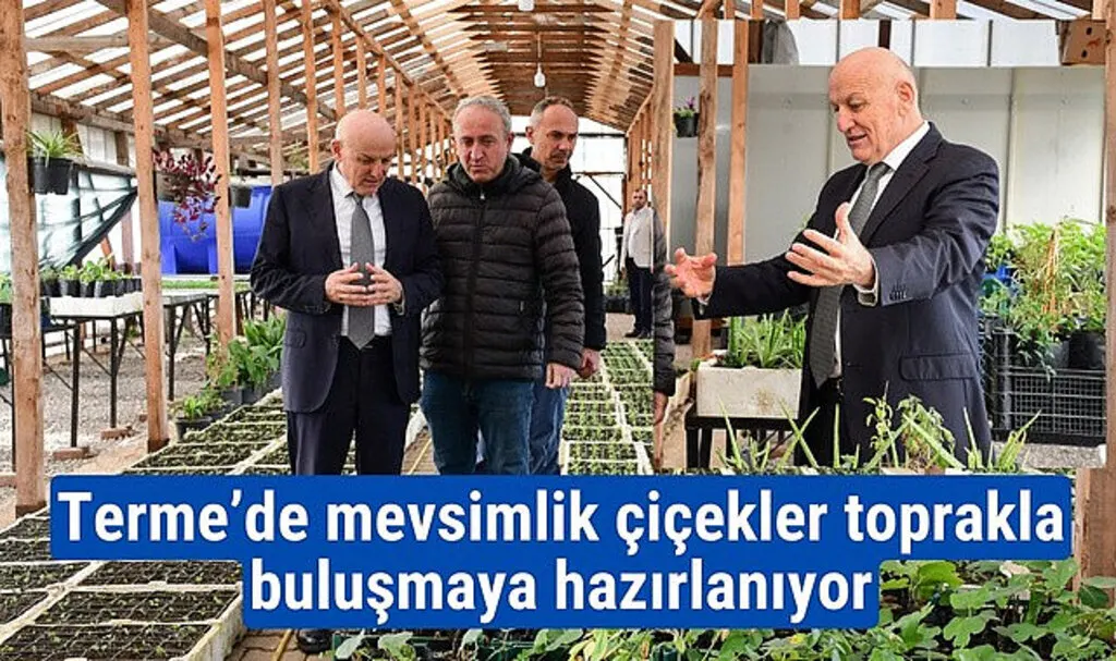 Terme’de mevsimlik çiçekler toprakla buluşmaya hazırlanıyor