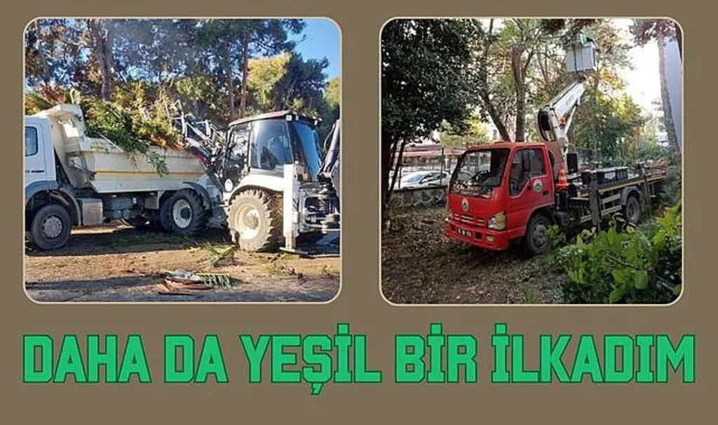 İlkadım’da ağaçlar kent estetiği için budanıyor