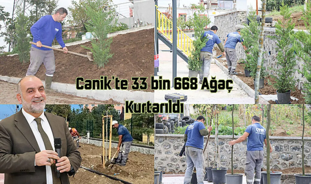 Canik'te 33 bin 668 Ağaç Kurtarıldı