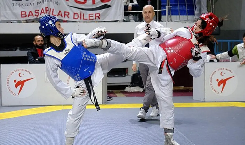 Türkiye Gençler Taekwondo Şampiyonası sona erdi