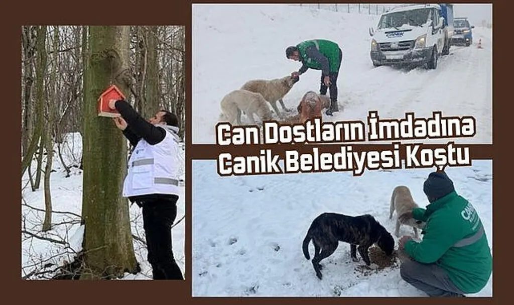 Canik Belediyesi Can Dostları Unutmadı