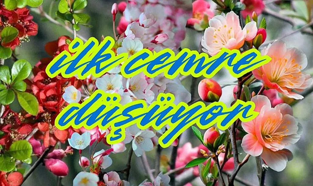 Cemre nereye düşer, İlk Cemre Ne zaman düşecek?