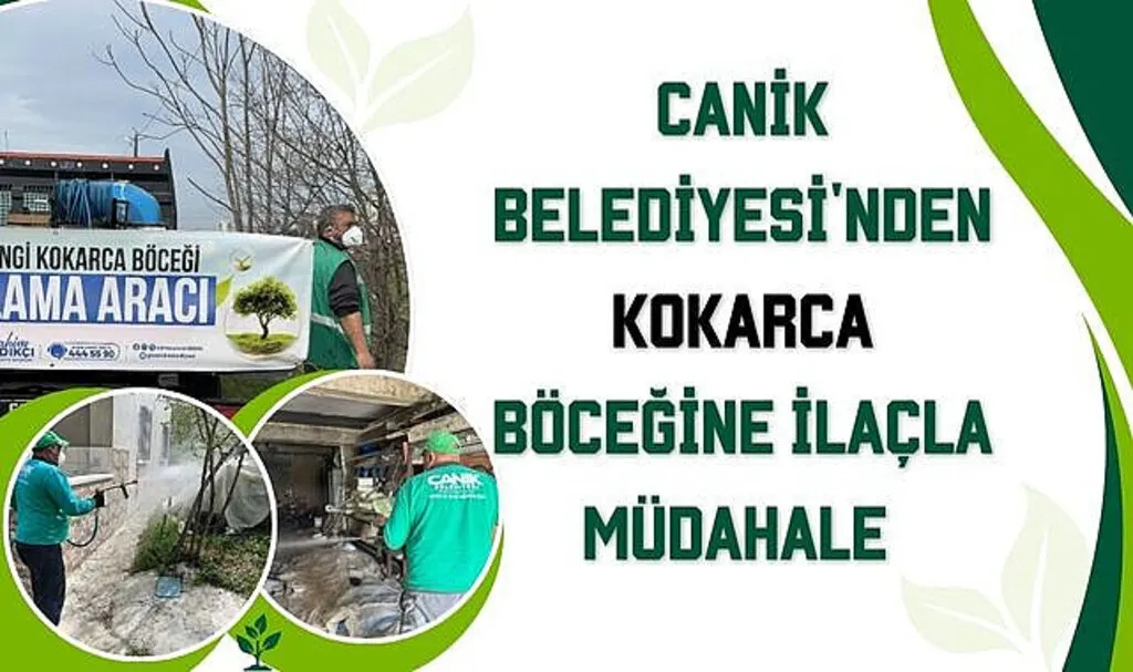 Canik Belediyesi'nden Kokarca Böceğine İlaçla Müdahale 