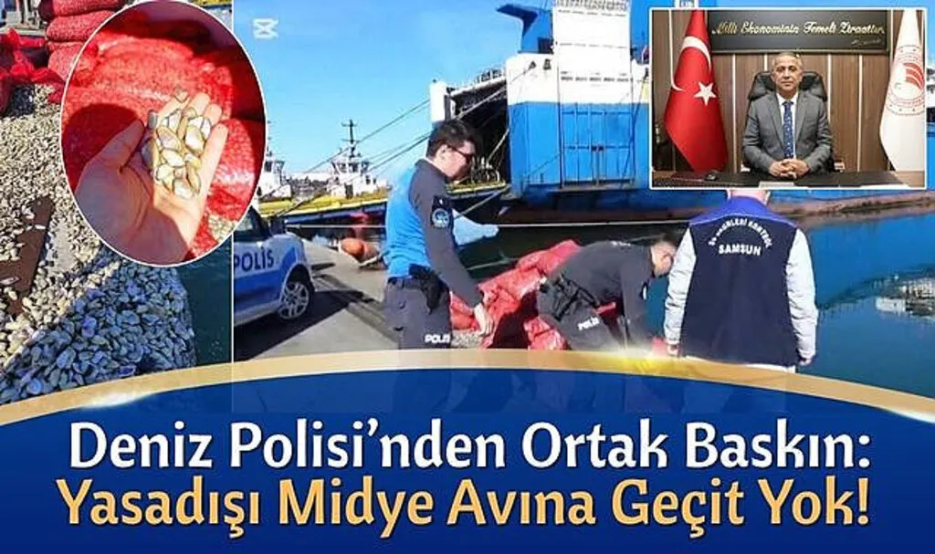 Deniz Polisinden Baskın: Yasadışı Midye Avına Geçit Yok!