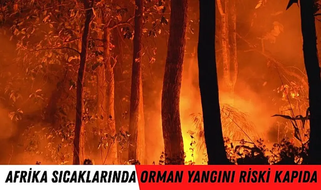 Samsun'da Afrika sıcaklarında orman yangını riski kapıda