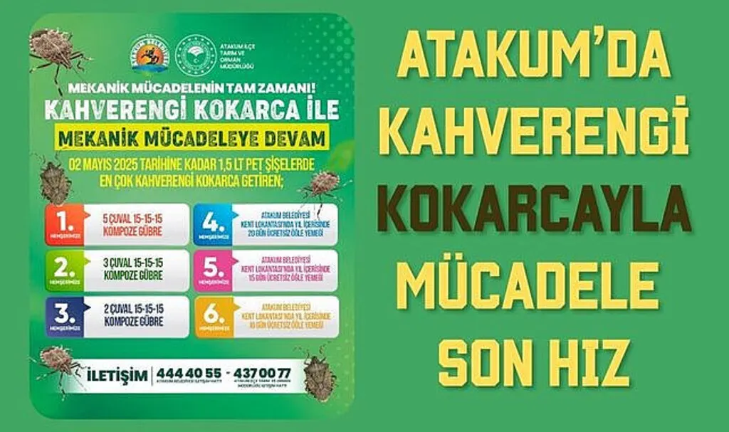 Atakum’da kahverengi kokarcayla mücadele son hız devam ediyor