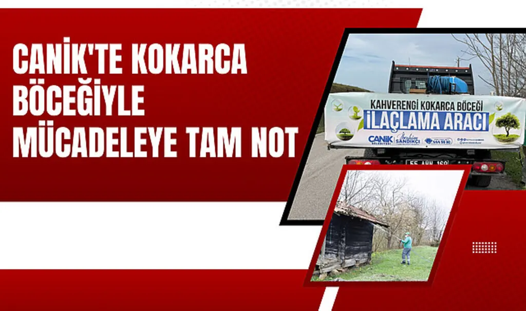 Canik'te Kokarca Böceğiyle Mücadeleye Tam Not