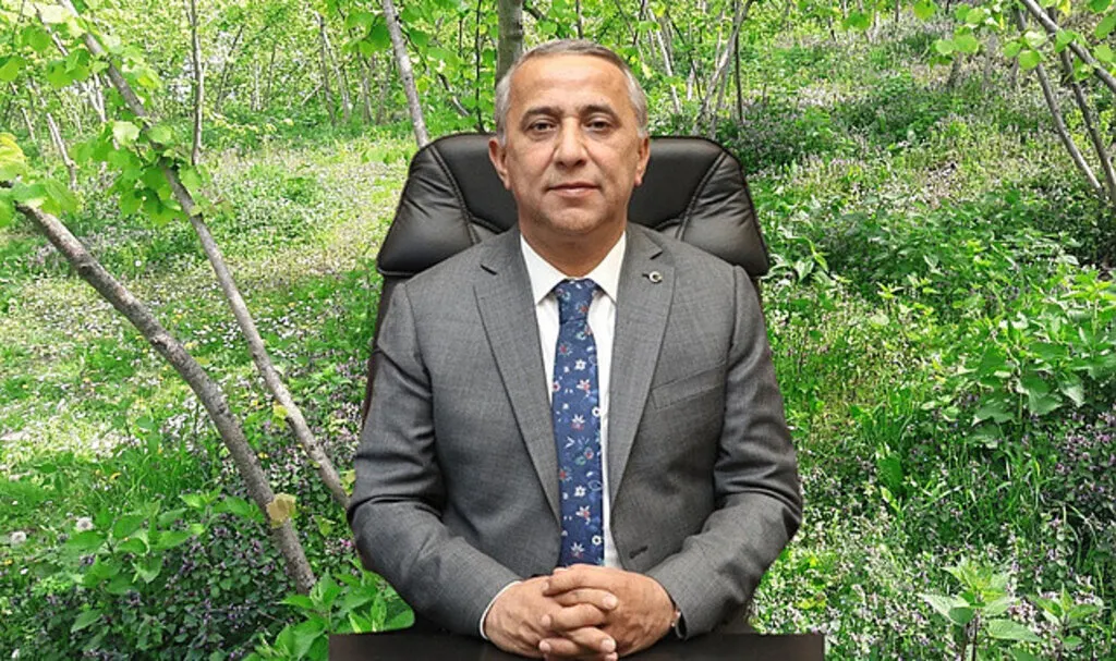 Samsun'da fındık bakım işleri önemli, fındık gübreleme