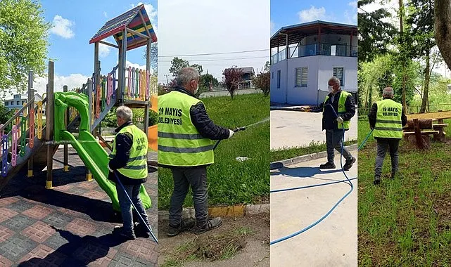 19 Mayıs Belediyesinden Kahverengi Kokarca İle Mücadele 
