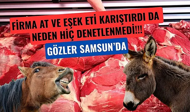 Büyükşehir Belediyesi'ne ve hastaneye at ve eşek eti vermişler!