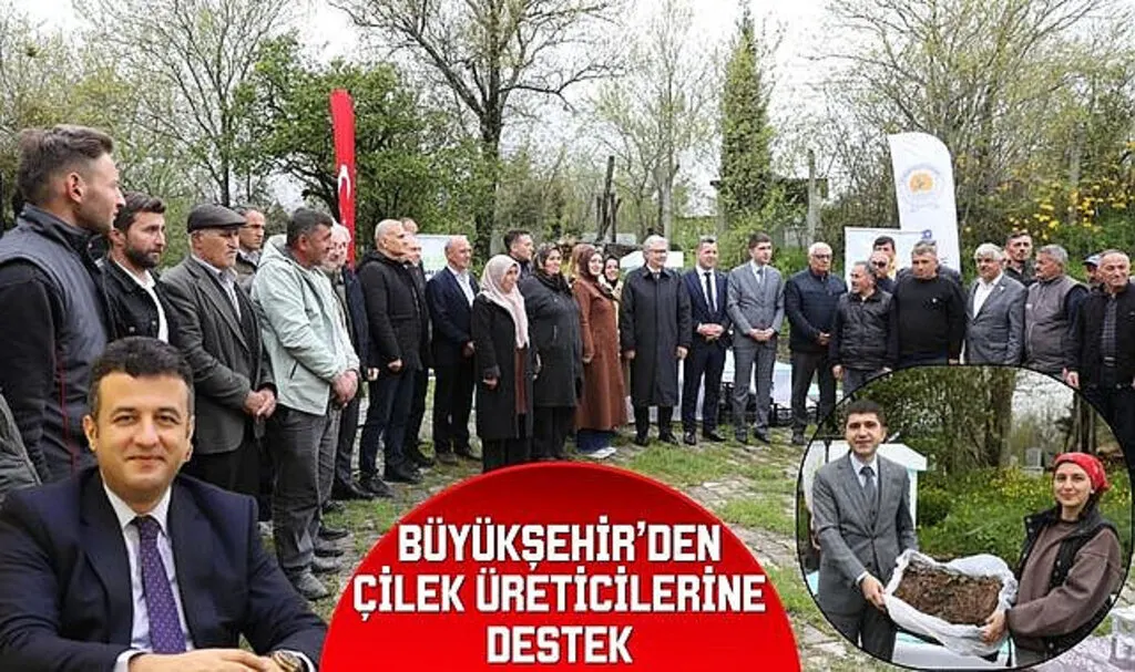 Büyükşehir'den Çilek Üreticilerine Destek