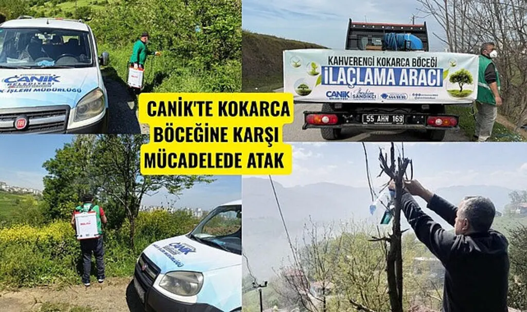 Canik Belediyesi'nden Kokarca Böceğine Karşı Mücadelede