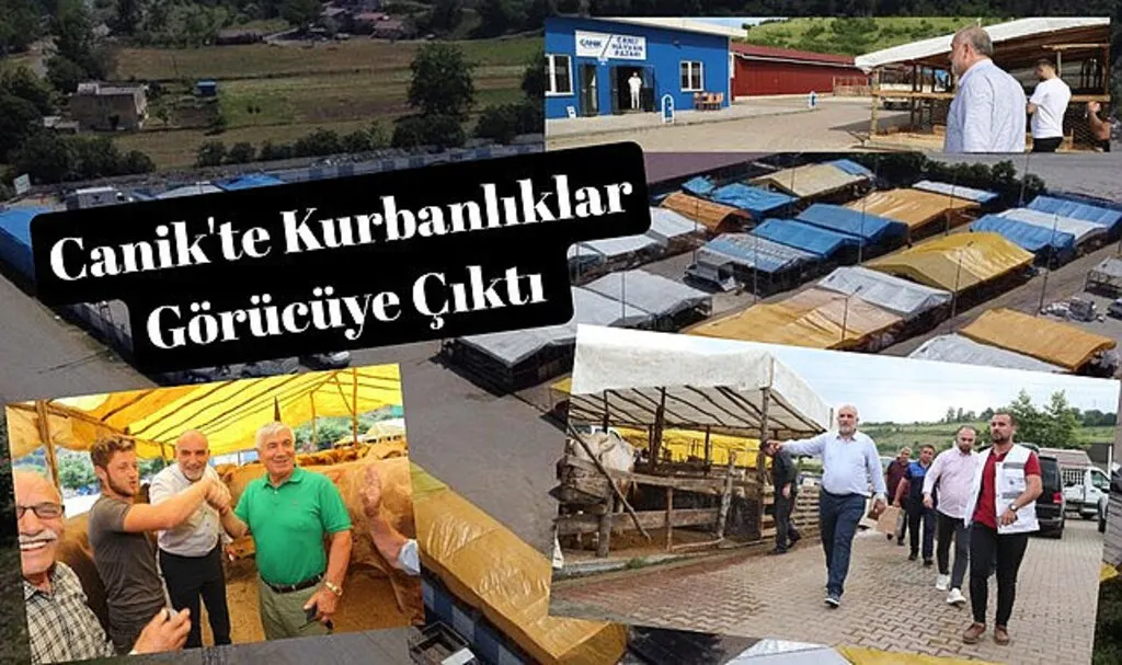 Canik'te Kurbanlıklar Görücüye Çıktı