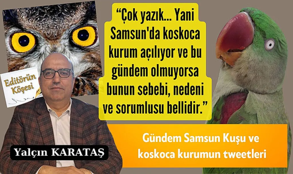 Gündem Samsun Kuşu ve koskoca kurumun tweetleri