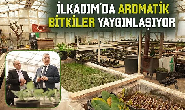 İlkadım'da Aromatik Bitkiler Yaygınlaşıyor