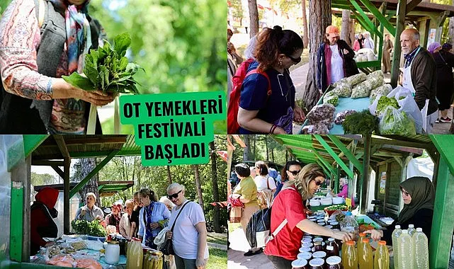 Samsun'da ot yemekleri festivali başladı
