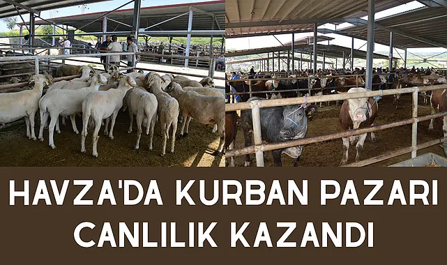 Havza'da kurban pazarı canlılık kazandı