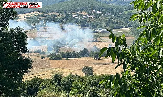Samsun Çatmaoluk Köyü Yeniköy mahallesinde yangın