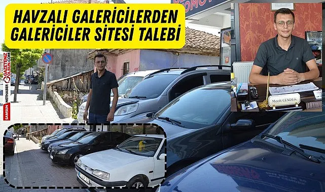 Havzalı Galericilerden Galericiler Sitesi talebi - Havza Haberleri