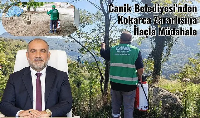 Canik Belediyesi'nden Kahverengi Kokarca Böceğine İlaçla Müdahale 