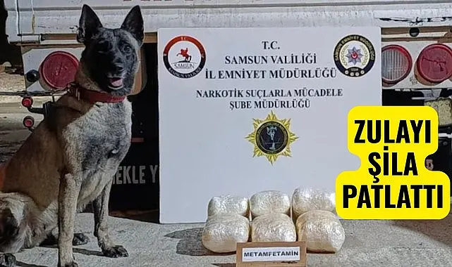 Samsun'da uyuşturucuyu Narkotik Köpeği Şila Buldu