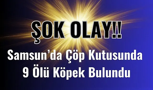 Samsun'da çöp kutusunda 9 ölü köpek bulundu Samsun'da şok görüntü