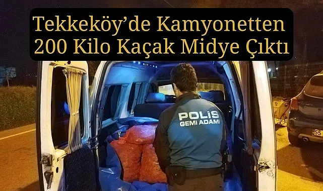 Samsun'da kaçak midye operasyonu... Denize geri bırakıldılar
