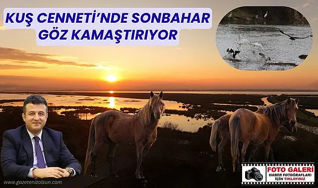 Samsun Kuş Cenneti'nde sonbahar göz kamaştırıyor